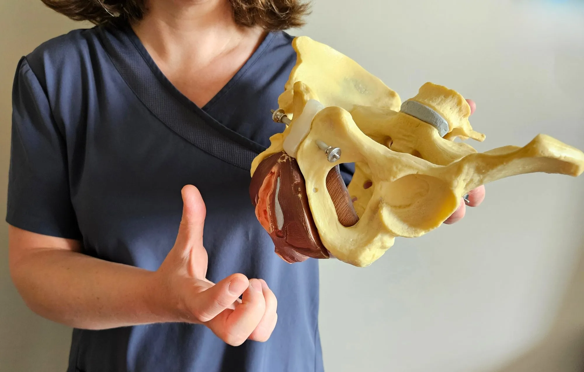 Eine Therapeutin erklärt etwas an einem Beckenmodell aus Kunststoff