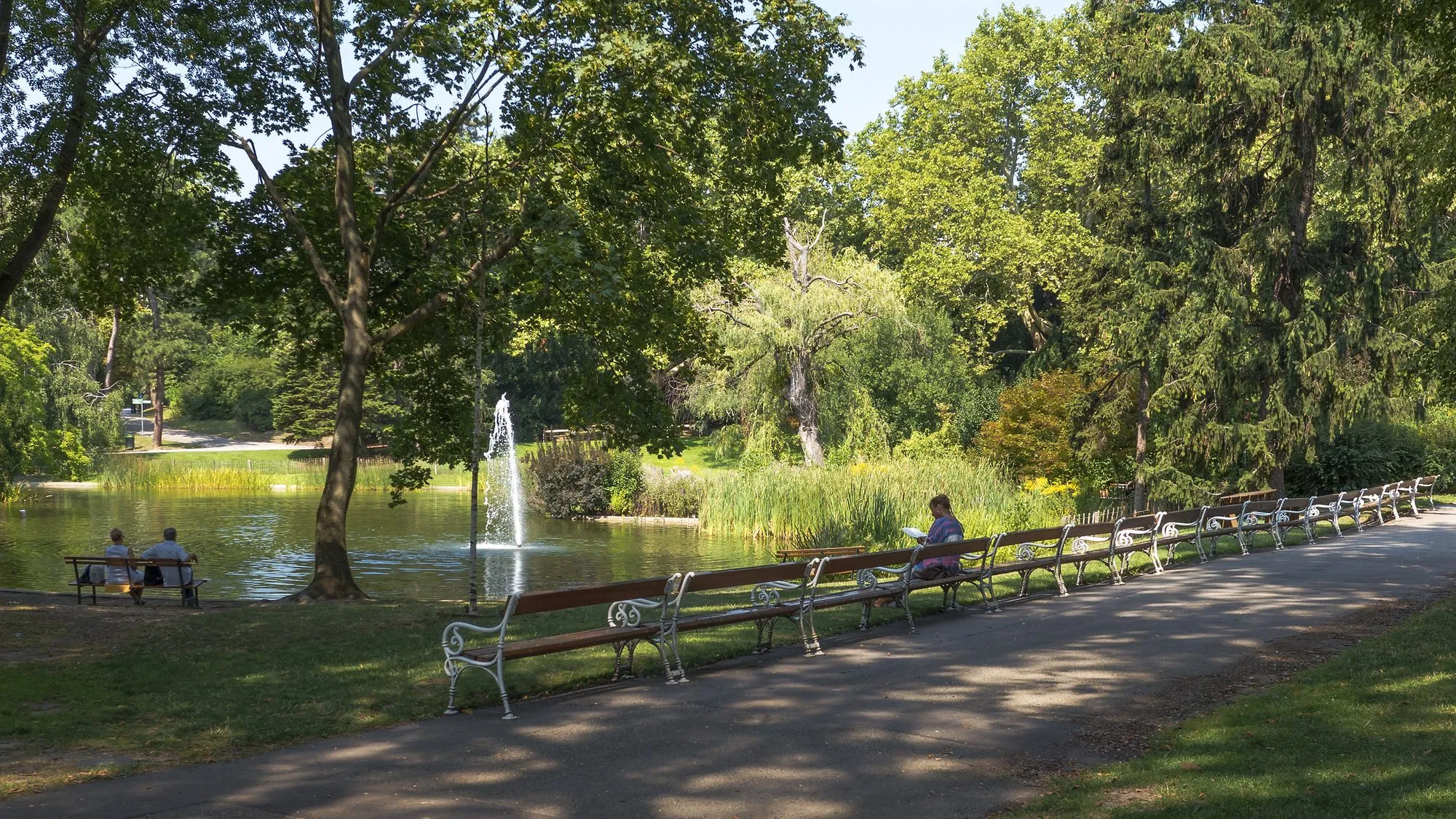 Der Teich mit Fontäne im Türkenschanzpark, davor Bänke im Schatten großer Bäume